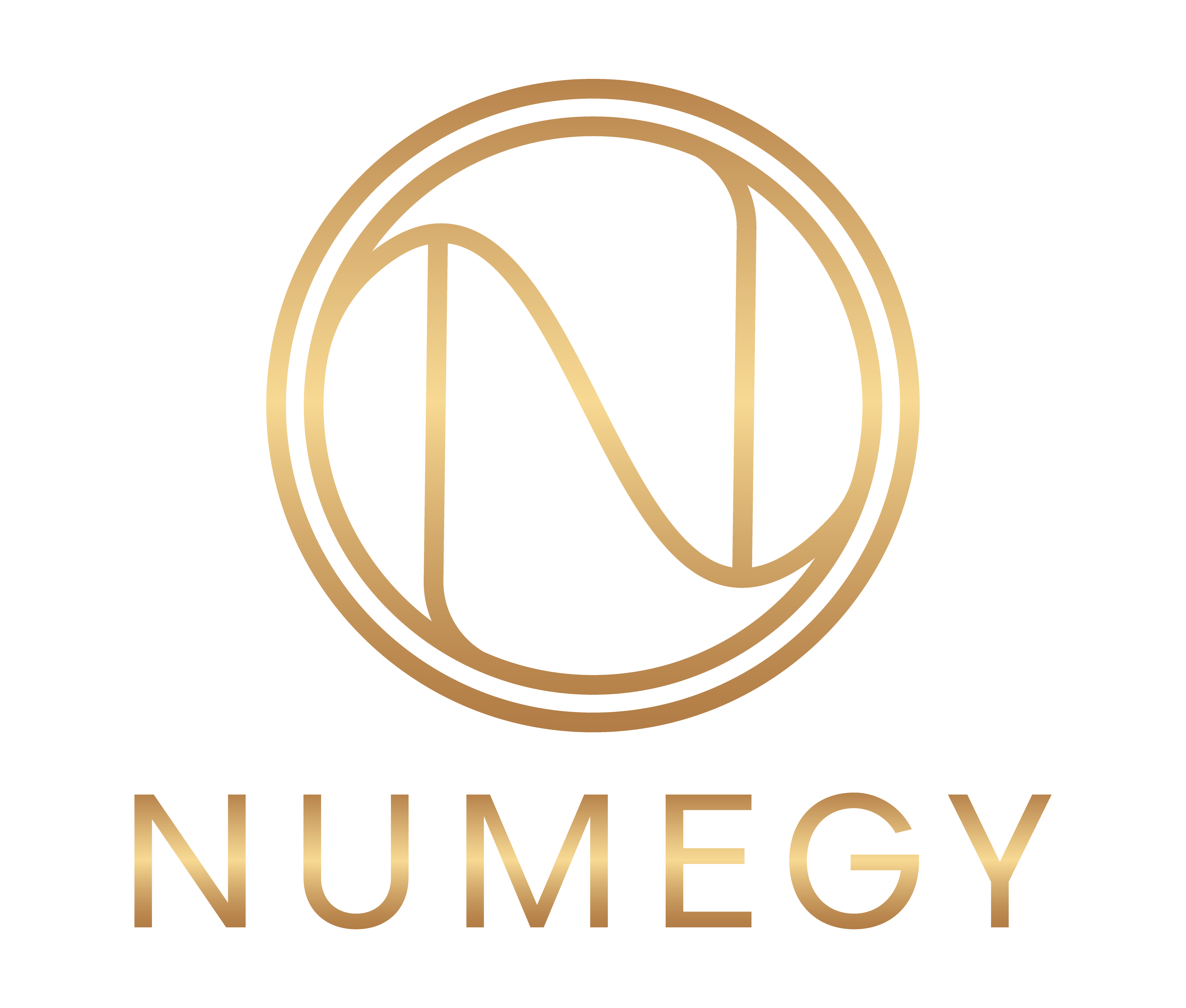 NUMEGY-2